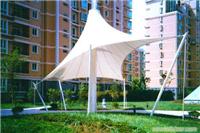 上海钢膜结构篷 