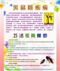 海珠专业上门灭蟑螂防治蟑螂公司哪家效果好