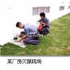 番禺杀虫白蚁预防创新虫控24小时上门服务