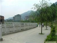 供应河堤护栏 