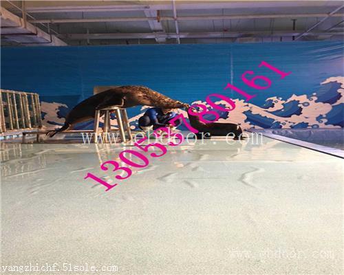 哈尔滨海洋生物展鱼缸展出租租赁