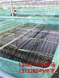 安徽 广东 湖南 湖北养殖黄鳝专用鳝鱼巢  黑色塑料巢穴 鳝巢专卖