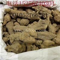 中药材白术供应批发白术多少钱一斤山芥山姜山连山精冬白术