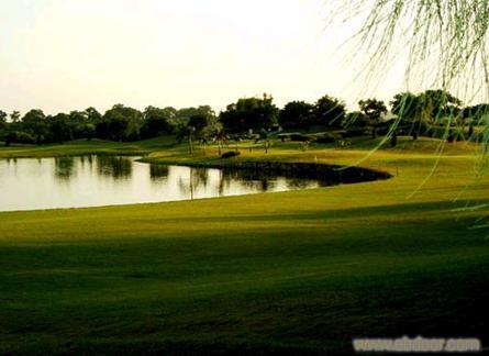 高尔夫球场养护--小区景观绿化设计�