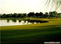 高尔夫球场养护--小区景观绿化设计 