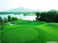 高尔夫球场养护-上海小区景观绿化设计施工 