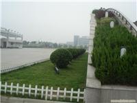 工厂绿地养护-上海别墅景观设计 