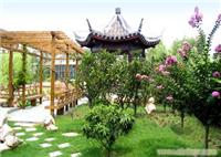 别墅庭院绿化养护-上海别墅草坪养护