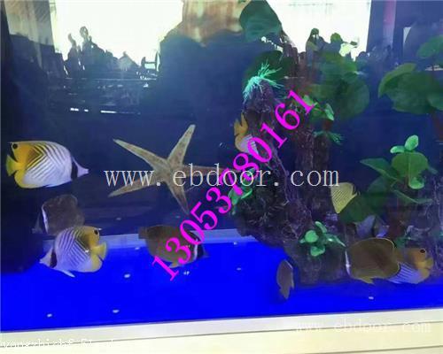 甘南海洋生物展鱼缸展出租租赁