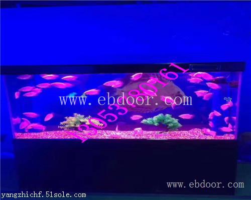 金昌海洋生物展鱼缸展出租租赁