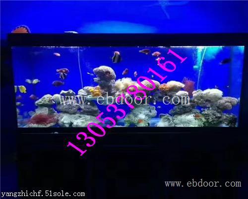 江苏海洋生物鱼缸展哪里有出租
