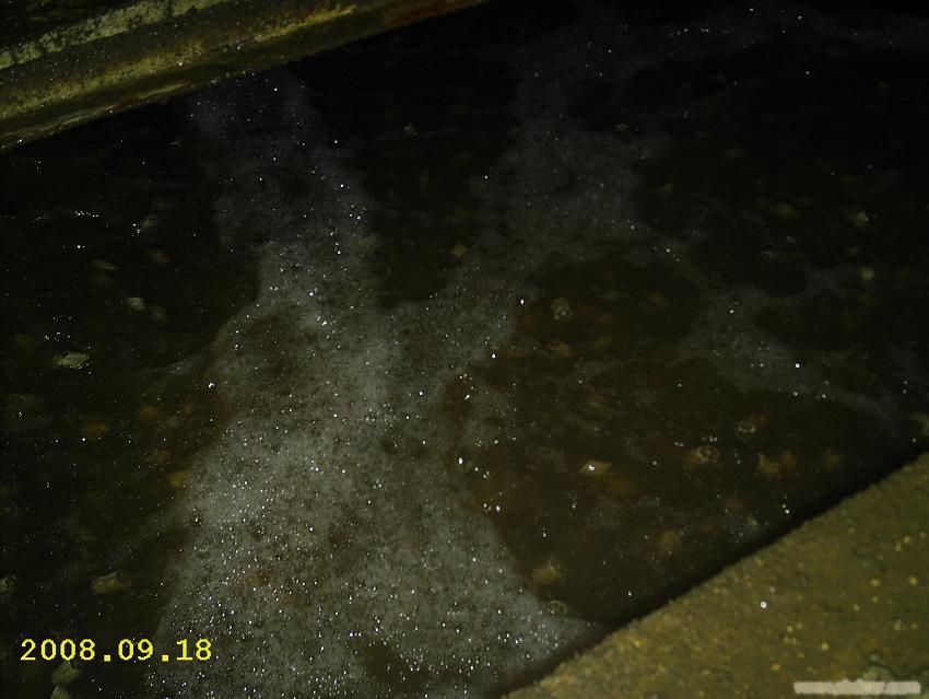 流化床生物填料（MBBR）