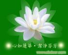 上海交友平台-交友网 