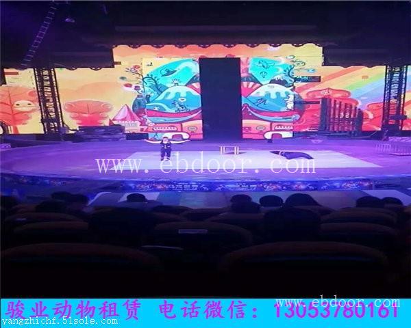 凉山海洋动物展览出租海狮表演租赁
