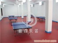 湖南省塑胶地板厂家 