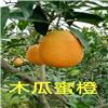 木瓜蜜橙