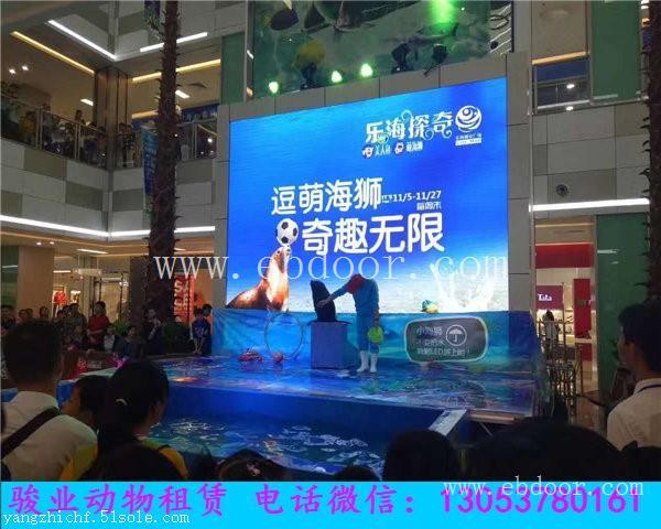 北京海狮表演出租