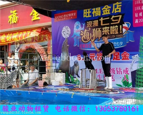 吴忠海狮表演出租公司