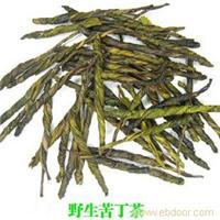 上海苦丁茶批发 