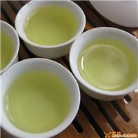 上海青茶批发 