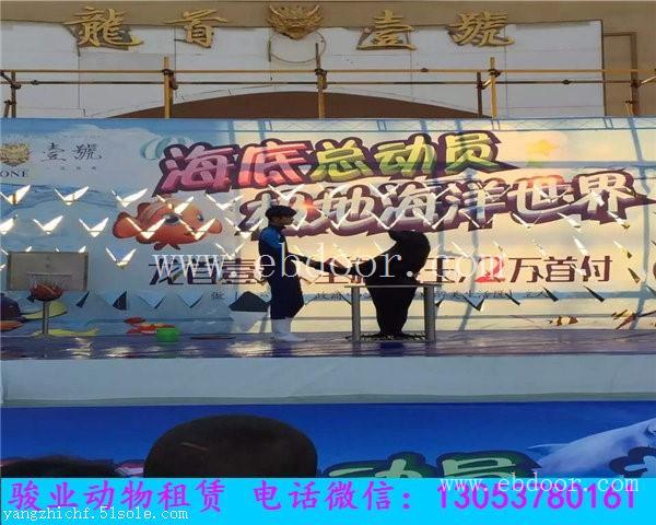 莱芜海狮表演出租公司