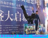 临汾海狮表演出租价格行情
