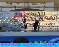 白城海狮表演出租价格行情