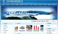 上海浦东新区网页制作的公司 
