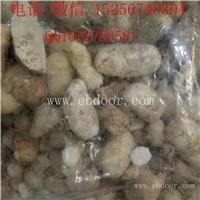 白附子的功效与作用白附子多少钱一斤