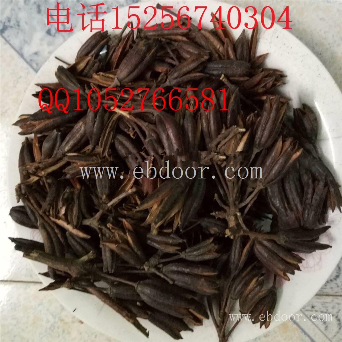 六轴子的功效六轴子多少钱一斤