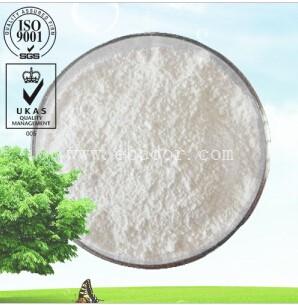 南箭牌2,3-二巯基丁二酸304-55-2专业生产厂家