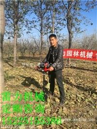 多功能手提式挖坑机钻孔规格