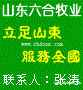 改良肉牛犊纯种波尔山羊杂交肉牛羊