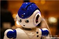 智能机器人物联网解决方案手机app开发