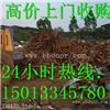 广州市白云区废铁回收公司-白云区废铁回收价格