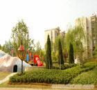 上海浦西绿化 