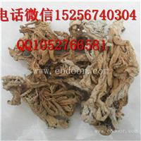 中药材岩白菜的功效与作用岩白菜哪里有卖