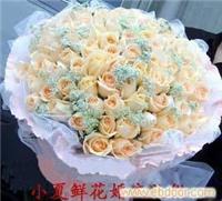 奉贤鲜花 xx02365 