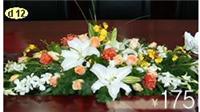 桌面台花 装饰植物 