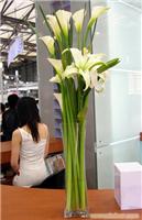 上海 桌面台花 