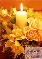 裕华区婚庆公司 