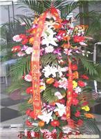 奉贤鲜花婚庆公司 