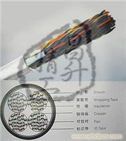 室内大对数通信电缆/400对 