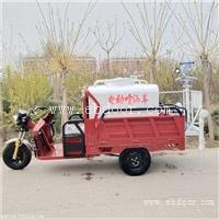 多种型号电动洒水车  纯电动四轮绿花除尘洒水车