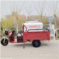 厂家供应小型电动三轮洒水车 新能源电动打药车 电动雾炮洒水车