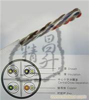 六类室内4对非屏蔽线缆 