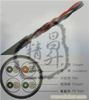 五类室外4对非屏蔽线缆 
