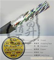 五类室外25对非屏蔽线缆/充油型 