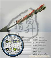超五类室外4对屏蔽线缆 