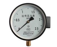 上海不锈钢压力表